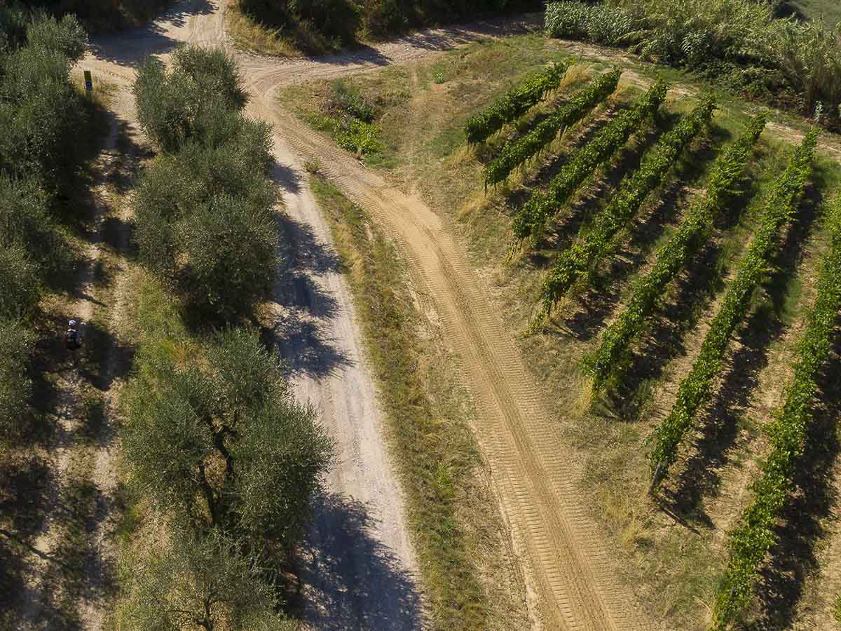 via-francigena-gallery-02