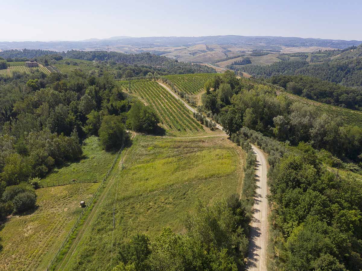 via-francigena-gallery-03