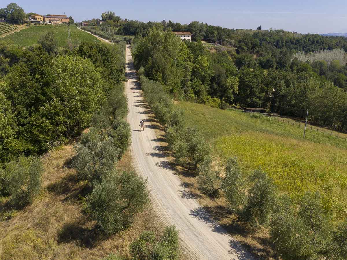 via-francigena-gallery-06