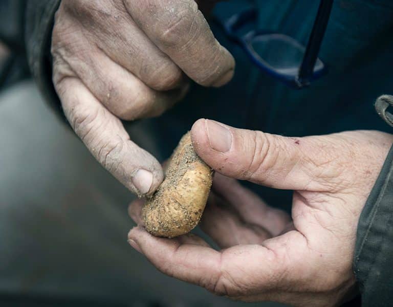 barbialla-nuova_001-768x600