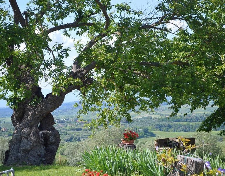 podere-moricci_004-768x600